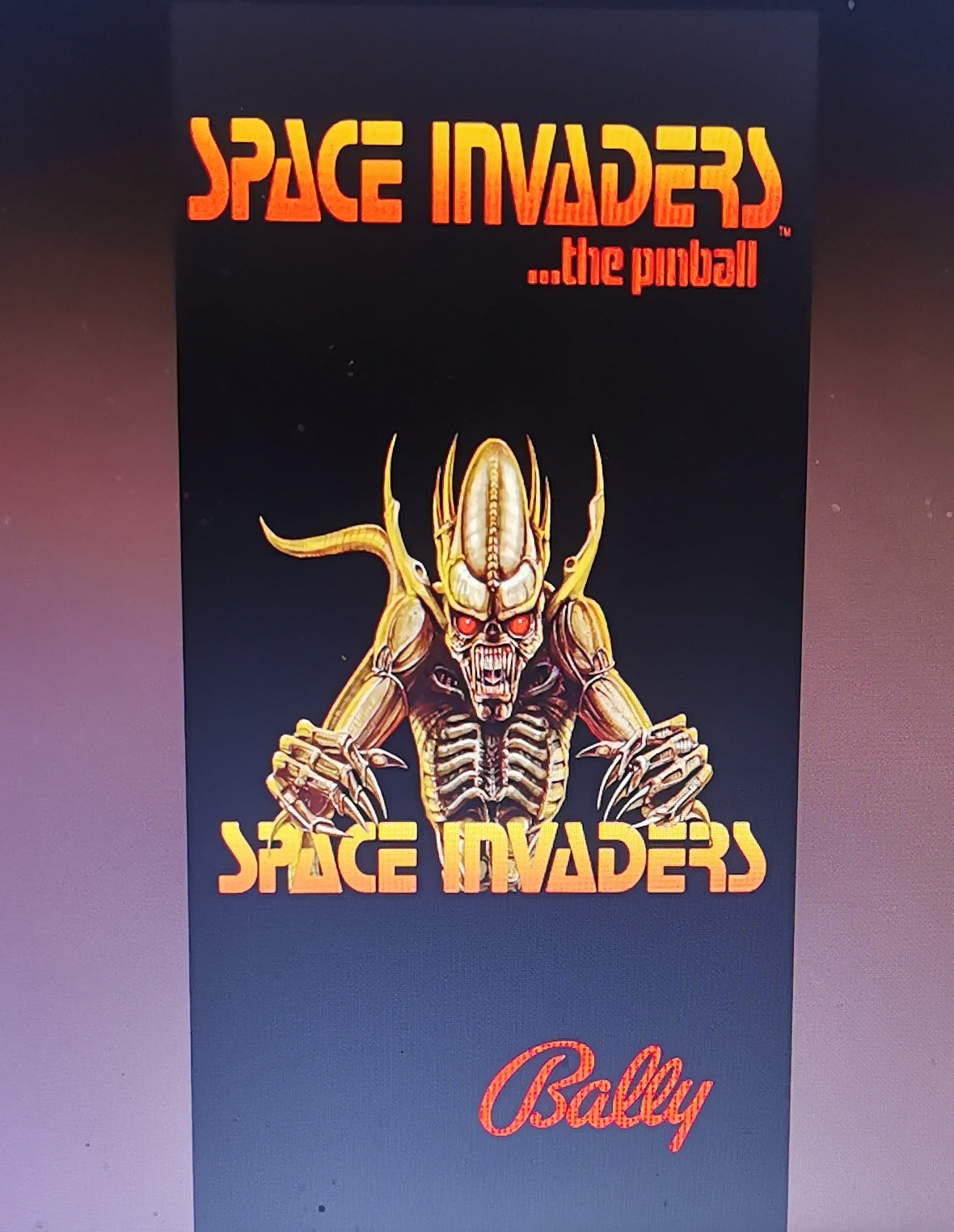 Pinball cover protection Space invaders