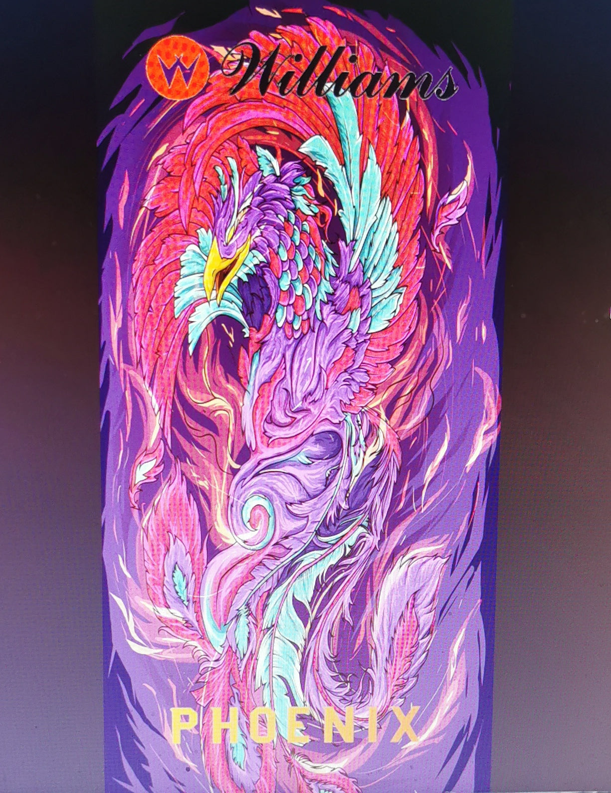 Pinball cover protection Phoenix Williams