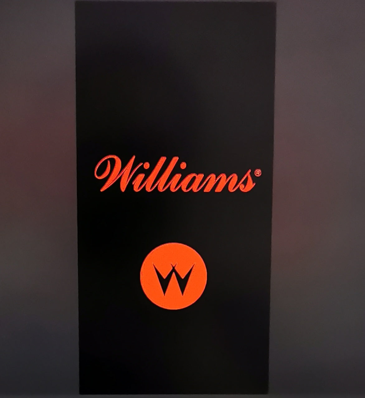 Pinball cover protection glass Williams logo