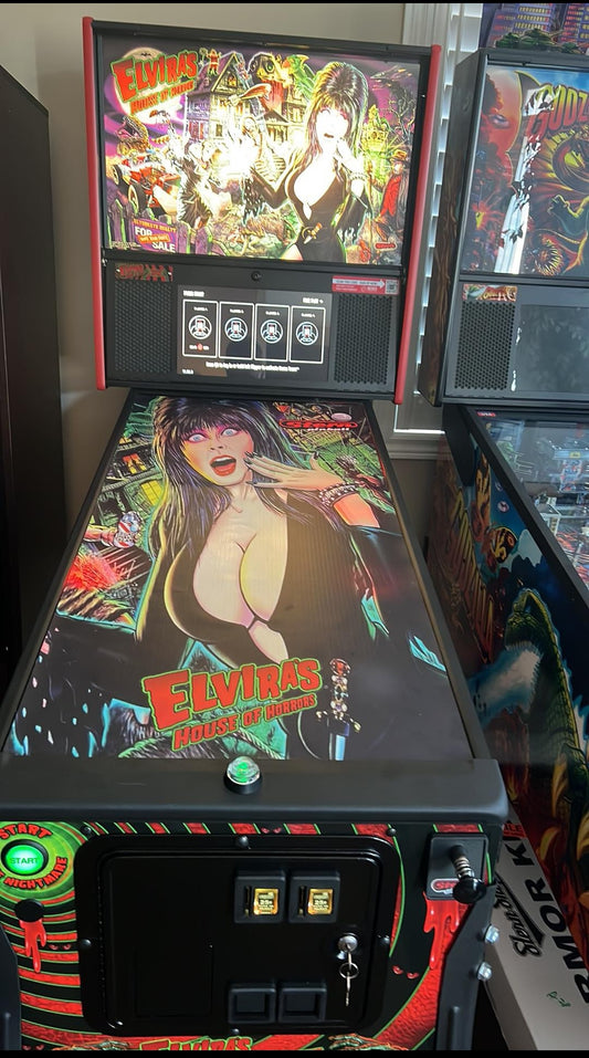 Pinball cover protection glass Elvira Stern