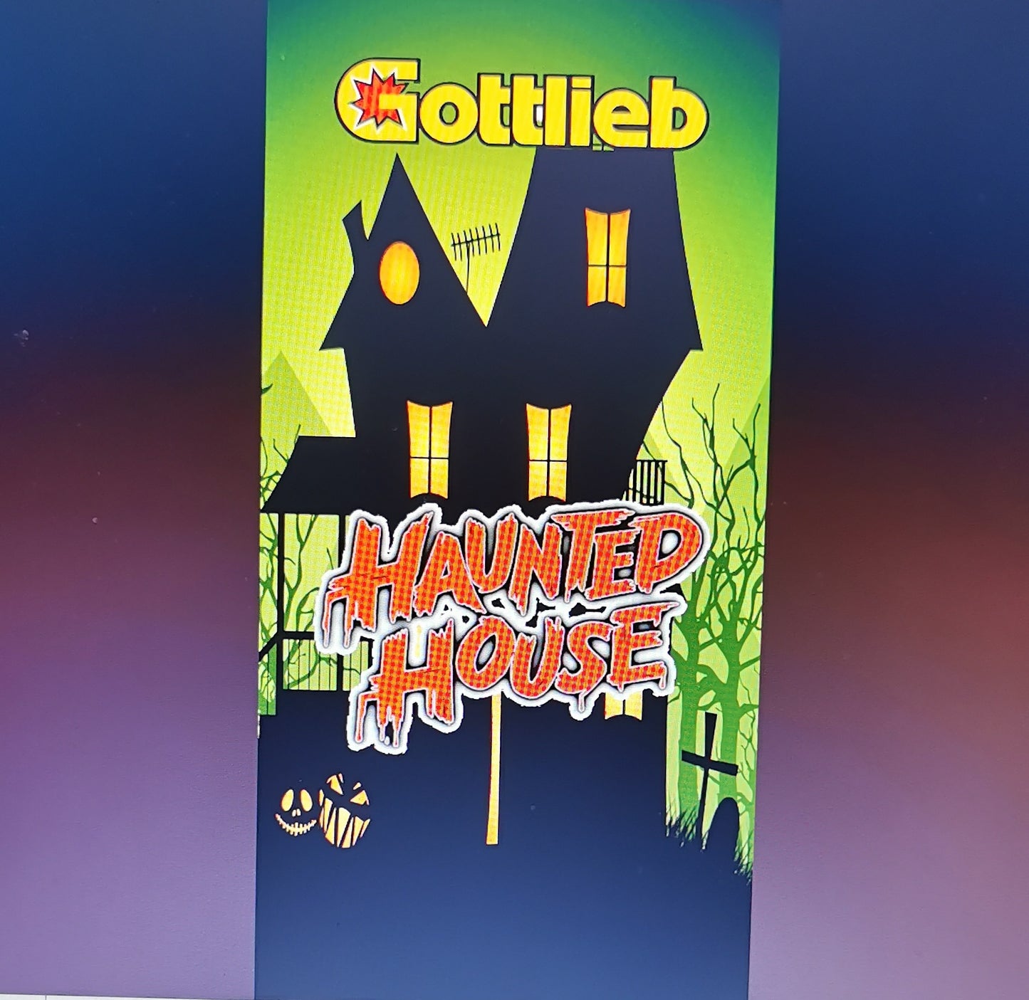 Pinball cover protection glass Haunted house Gottlieb